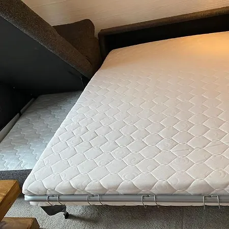 Rugana Insel Ruegen Fewos Vogelgesang درانسكي