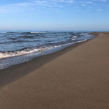 Rugana Insel Ruegen Fewos Vogelgesang * درانسكي