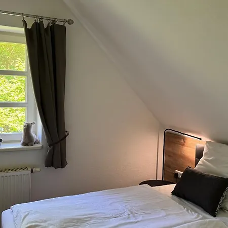 Rugana Insel Ruegen Fewos Vogelgesang