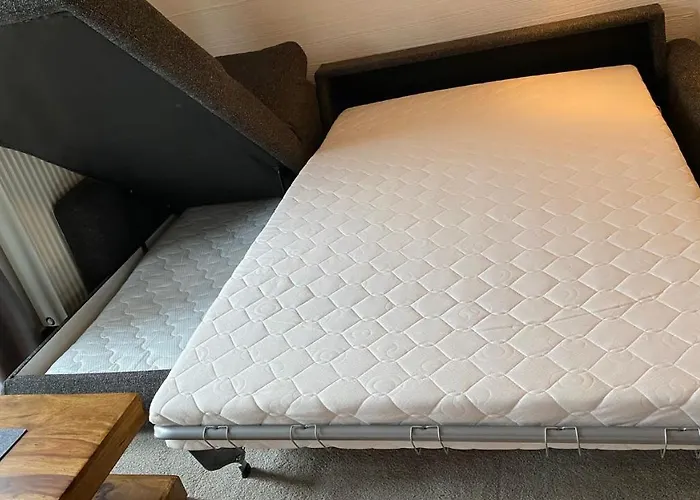 Rugana Insel Ruegen Fewos Vogelgesang Dranske