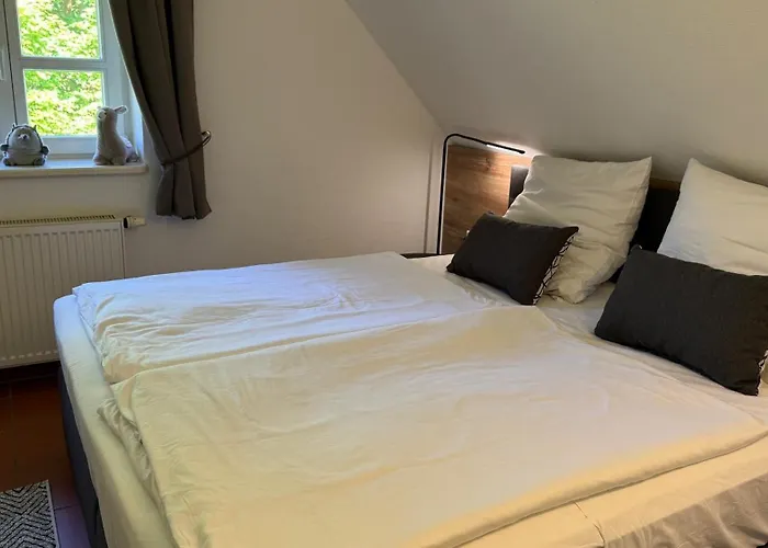 Rugana Insel Ruegen Fewos Vogelgesang